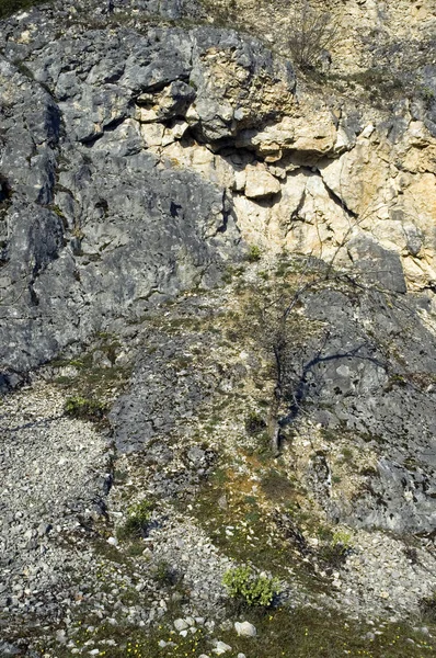 Paroi rocheuse de calcaire jurassique en albe souabe en Allemagne — Photo