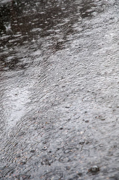 Rua de asfalto no verão durante a chuva torrencial — Fotografia de Stock