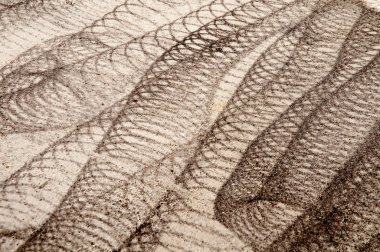 çimento zemin üzerinde bir süpürme makinesinin kauçuk parçaları