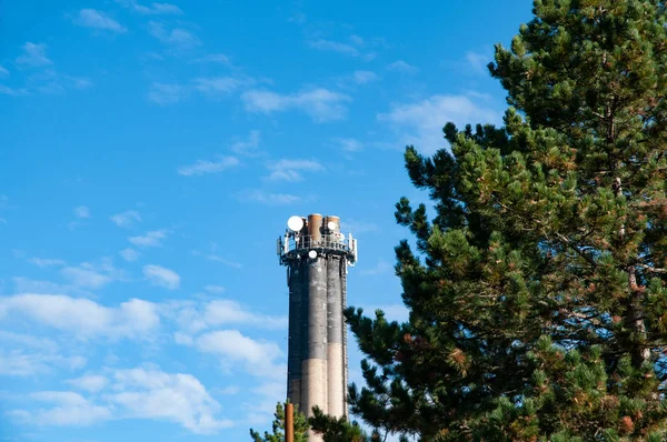 Schornstein einer Müllverbrennungsanlage hinter Baum — Stockfoto