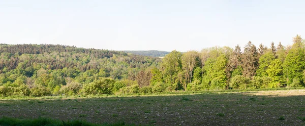 Hügellandschaft Mit Mischwald Und Steinigem Feld Auf Der Schwäbischen Alb — Stockfoto
