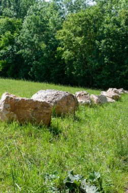 Orman kenarındaki bir çayırda bulunan büyük kireçtaşı kayaları.