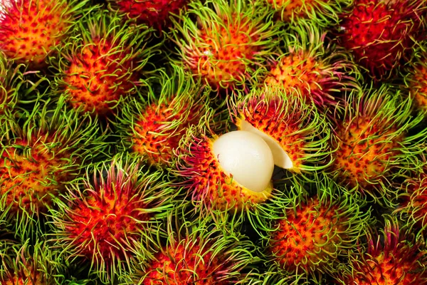 Ταϊλάνδης Rambutan Rambutan Καλλιεργείται Ευρέως Διάφορες Χώρες Ολόκληρη Την Περιοχή Royalty Free Φωτογραφίες Αρχείου