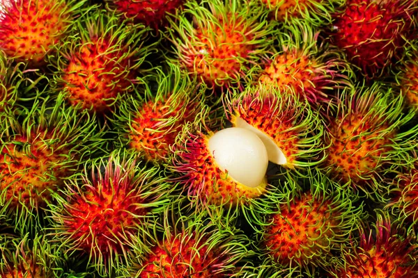 Rambutan Tailandés Rambutan Cultiva Comúnmente Varios Países Región Rambutan Árbol Fotos de stock libres de derechos