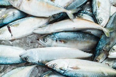 Tayland içinde piyasada kısa uskumru. Bir basit ve lezzetli yolu pişirme kısa uskumru için.