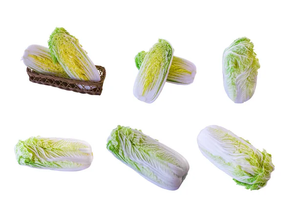 收集新鲜绿色有机纳帕卷心菜 可用于白色背景设计元素 — 图库照片