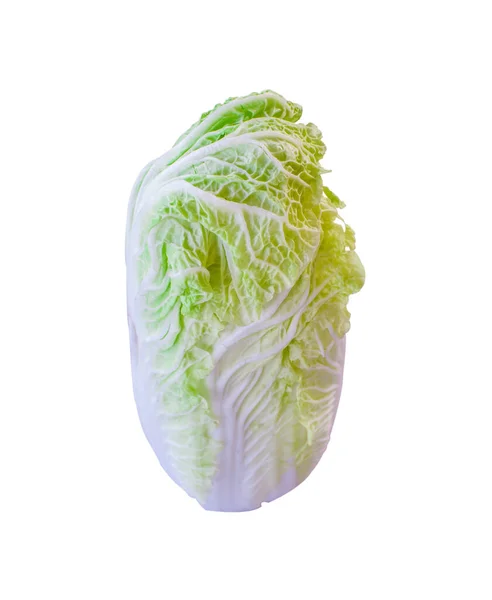 分离的新鲜绿色有机纳巴卷心菜 可在白色背景下使用 并附有设计元素的剪切路径 — 图库照片