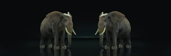 Elefante Enorme Fundo Escuro Renderização — Fotografia de Stock