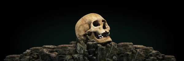 Cranii Umane Apusul Soarelui Redare — Fotografie, imagine de stoc