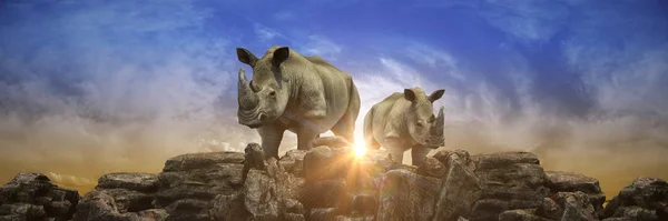 日没時にRhino 3Dレンダリング — ストック写真