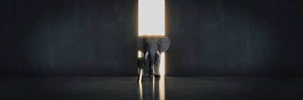elephant in the room near wall. Creative concept