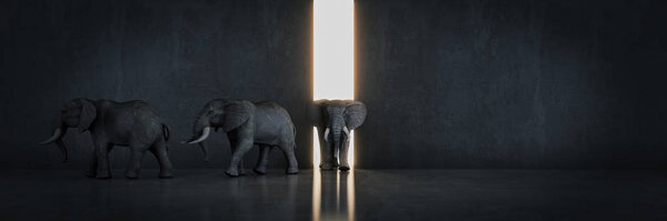 Слон в комнате возле стены. Творческая концепция
