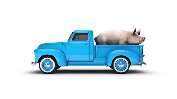 Pig Pickup Renderização — Fotografia de Stock