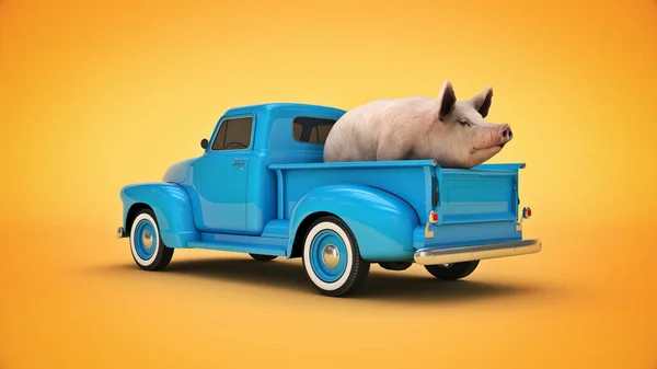 Cerdo Una Camioneta Renderizado — Foto de Stock