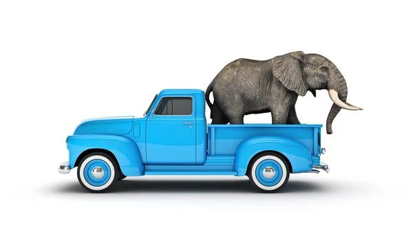 Elefante Una Camioneta Renderizado —  Fotos de Stock