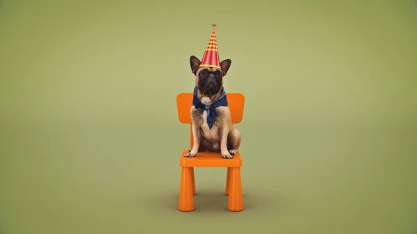 Przyjęcie Urodzinowe Dla Psa Renderowanie — Zdjęcie stockowe