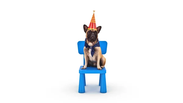 Hundegeburtstag Darstellung — Stockfoto