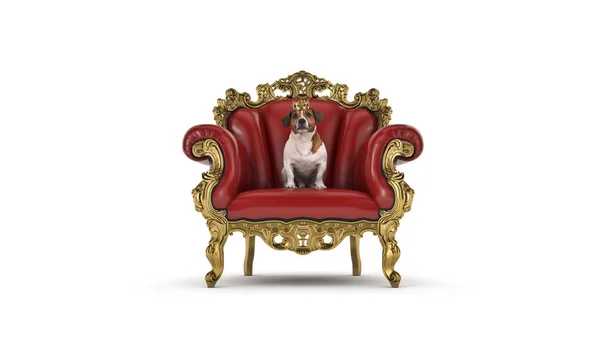 Pies Koronką Krześle Renderowanie — Zdjęcie stockowe