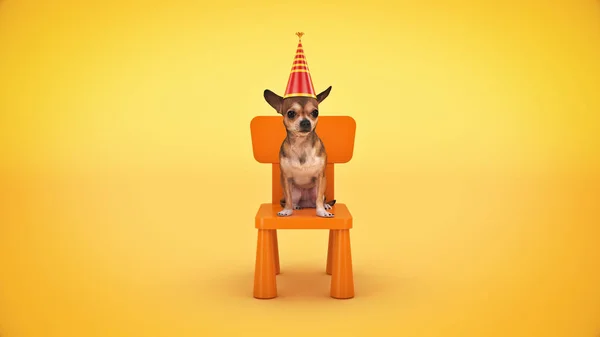 Вечірка День Народження Собаки Візуалізація — стокове фото