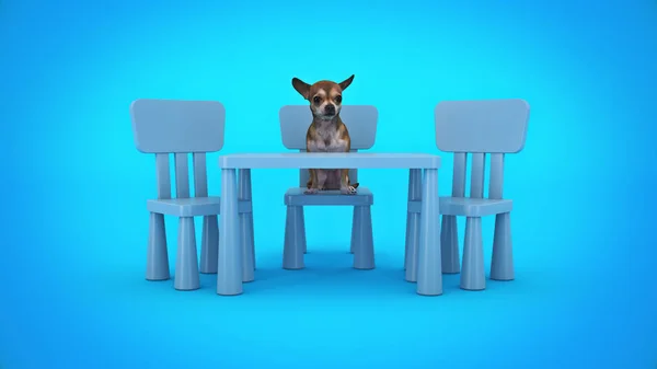 Hund Studiert Renderização — Fotografia de Stock