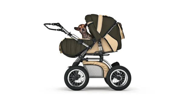 Dog Baby Carriages Rendering — Stock Photo, Image