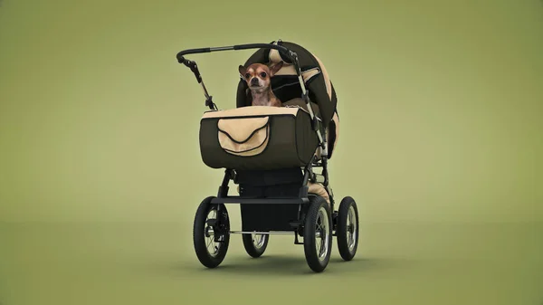 Pies Wózków Dziecięcych Renderowanie — Zdjęcie stockowe