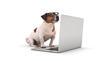 Dizüstü bilgisayar kullanan bir iş köpeği. 3d oluşturma