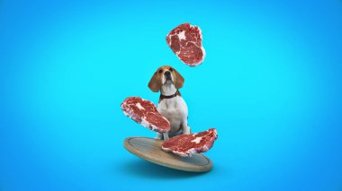 dog watching falling pieces of meat. 3d rendering clipart