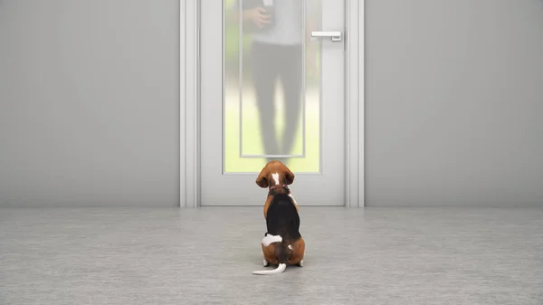 Pies Czeka Przy Drzwiach Wejściowych Renderowanie — Zdjęcie stockowe