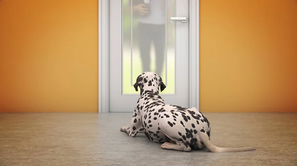 Pies Czeka Przy Drzwiach Wejściowych Renderowanie — Zdjęcie stockowe