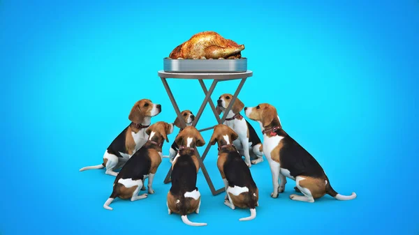 Dog looking at a roasted chicken. 3d rendering