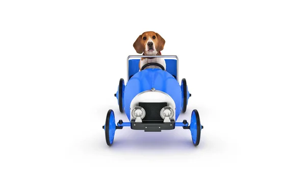 Hund Fährt Spielzeugauto Darstellung — Stockfoto