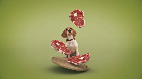Pies Obserwuje Spadające Kawałki Mięsa Renderowanie — Zdjęcie stockowe