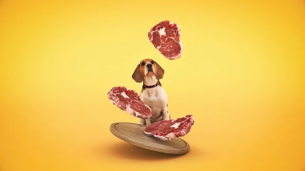 Pies Obserwuje Spadające Kawałki Mięsa Renderowanie — Zdjęcie stockowe