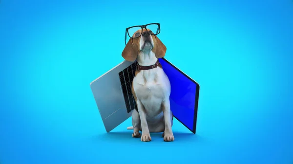 Business Concept Hond Met Behulp Van Laptop Computer Destructie — Stockfoto