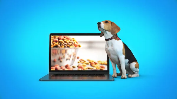 Бізнес Концепція Домашньої Собаки Використанням Портативного Комп Ютера Візуалізація — стокове фото