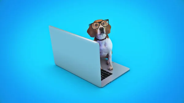 Concepto Negocio Perro Mascota Utilizando Ordenador Portátil Renderizado —  Fotos de Stock