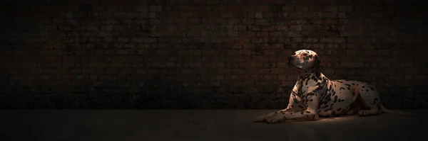 孤独的流浪狗 3D渲染 — 图库照片