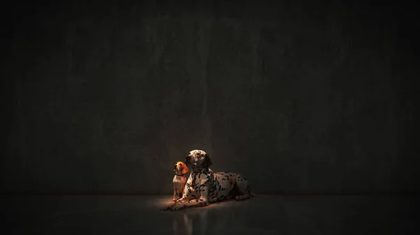 Samotne Uliczne Psy Renderowanie — Zdjęcie stockowe