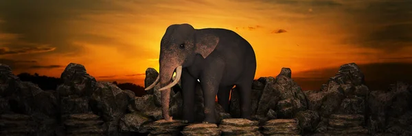 Elefántok Naplementekor Renderelés — Stock Fotó