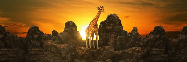 Girafa Pôr Sol Renderização — Fotografia de Stock