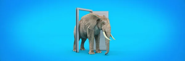 Grande Elefante Entra Pela Porta Aberta Renderização — Fotografia de Stock