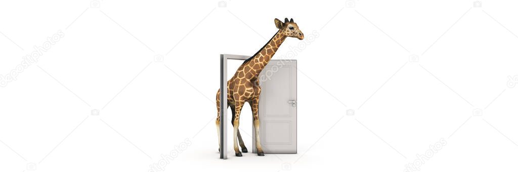 giraffe walks through the open door. 3d rendering