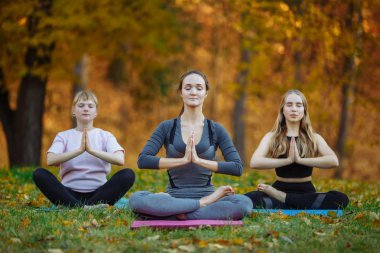 Üç genç yoga uygulayıcıları Park Yoga egzersizleri yapıyor. Kadın meditasyon açık güzel sonbahar doğa infront