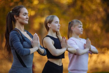 Üç genç yoga uygulayıcıları Park Yoga egzersizleri yapıyor. Kadın meditasyon açık güzel sonbahar doğa infront