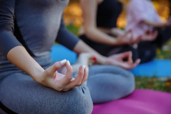 Genç uygulayıcıları Park Yoga egzersizleri yapıyor. Kadın meditasyon açık güzel sonbahar doğa infront. El coseup, seçici odak.