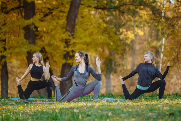 Grup Genç kadını Yoga eylem egzersizleri Park yapıyor. Sağlıklı yaşam konsepti.