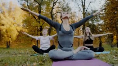 Grup Genç kadını Yoga eylem sağlıklı egzersiz Park yapmak. Sağlık yaşam tarzı kavramı.