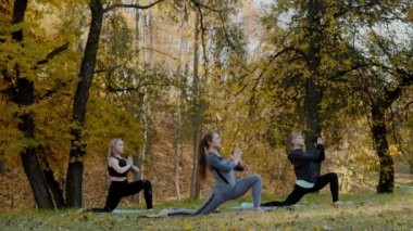 Grup Genç kadını Yoga eylem sağlıklı egzersiz Park yapmak. Sağlık yaşam tarzı kavramı.