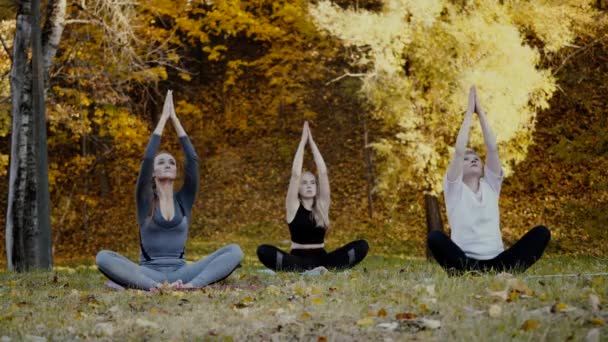 Группа молодых практикующих йогу, занимающихся йогой в парке. Женщины медитируют на открытом воздухе перед красивой осенней природой — стоковое видео